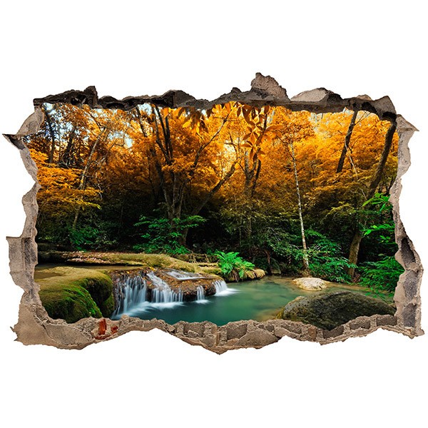 Wall Stickers: Hole Spring in the forest