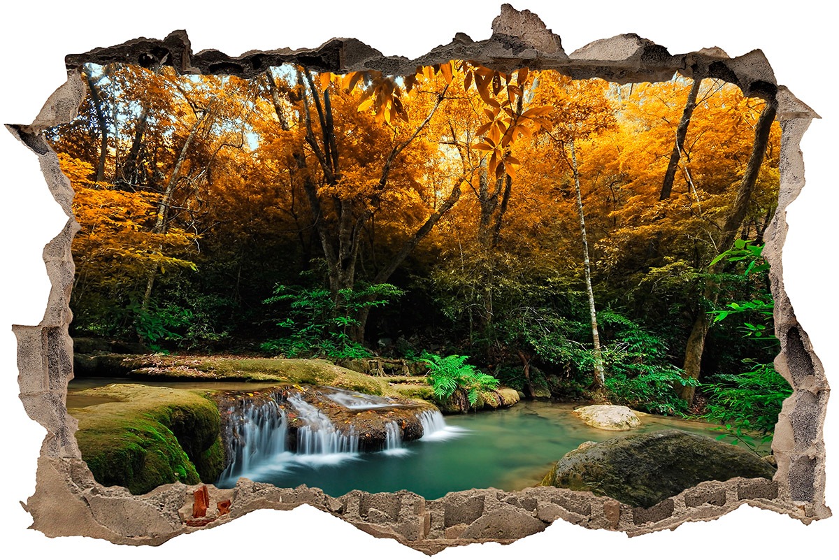 Wall Stickers: Hole Spring in the forest