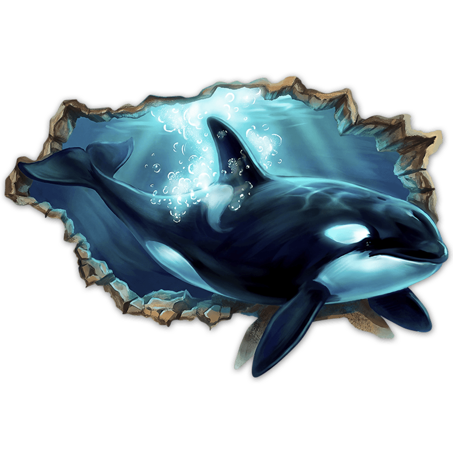 Wall Stickers: Giant Orca Wall Break