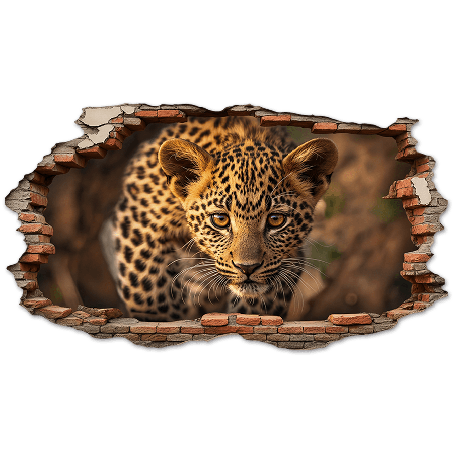 Wall Stickers: Wall Hole Leopard Cub