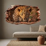 Wall Stickers: Wall Hole Leopard Cub 4