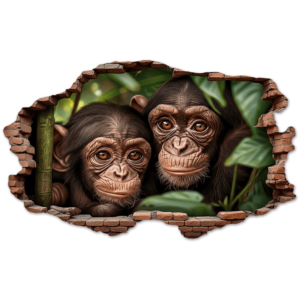 Wall Stickers: Wall Hole Baby Chimpanzees