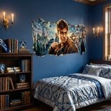 Wall Stickers: Wall Hole Harry Potter Magic World 8