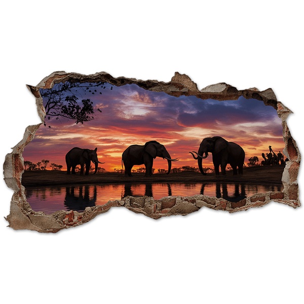 Wall Stickers: Wall Hole Elephants Sunset