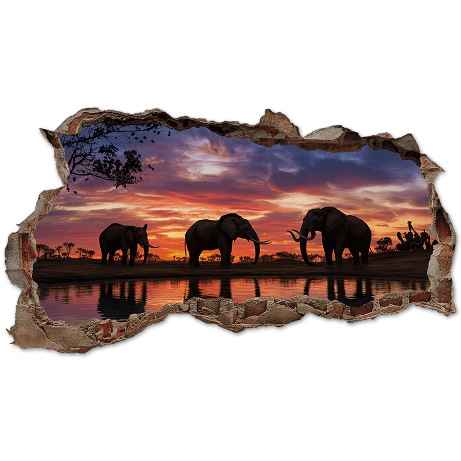Wall Stickers: Wall Hole Elephants Sunset