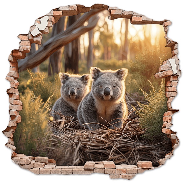 Wall Stickers: Wall Hole Koalas Forest