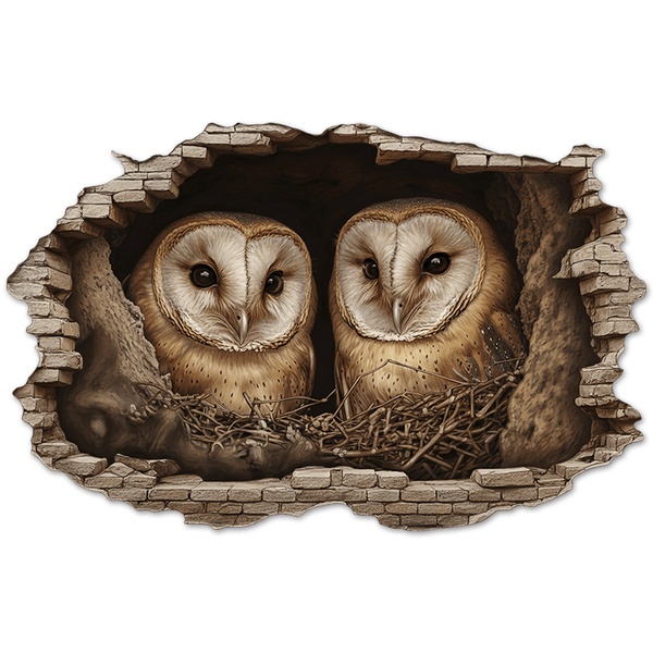 Wall Stickers: Wall Hole Barn Owls Nest