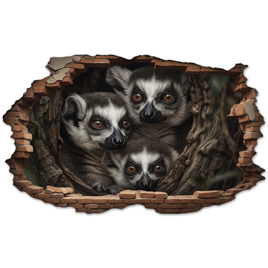 Wall Stickers: Wall Hole Lemurs