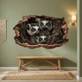 Wall Stickers: Wall Hole Lemurs 8