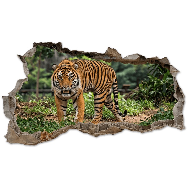 Wall Stickers: Wall Hole Bengal Tiger in the Jungle