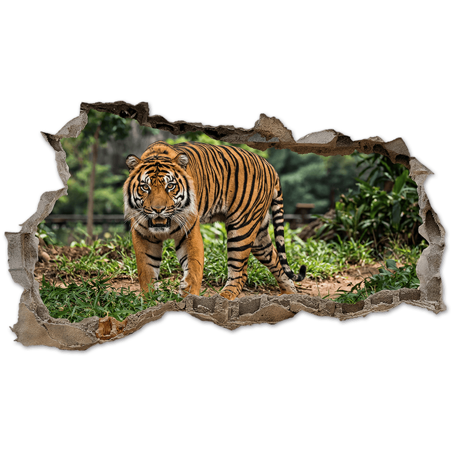 Wall Stickers: Wall Hole Bengal Tiger