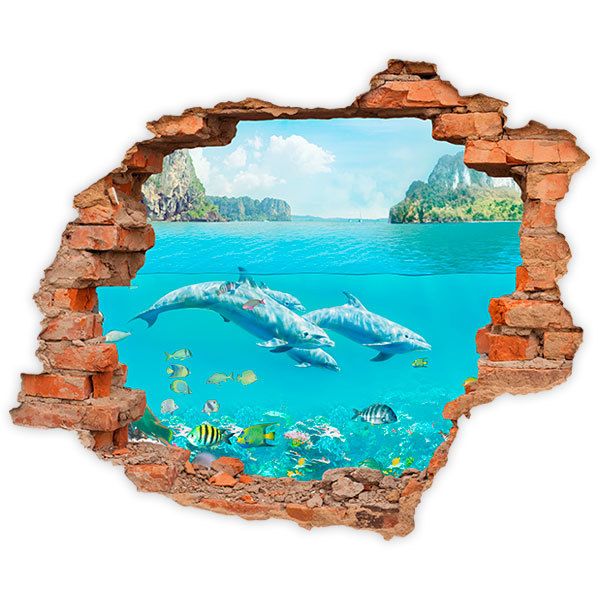 Wall Stickers: Hole dolphins in the Caribbean