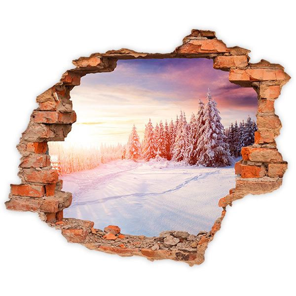 Wall Stickers: Hole Dawn in winter