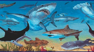 Stickers for Kids: Wall Border shark