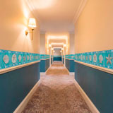 Wall Stickers: Wall border seashells 26