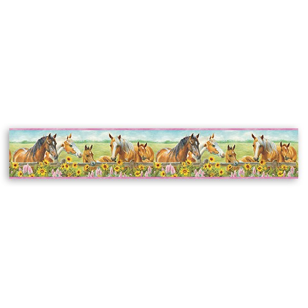Self adhesive borders wall stickers horses