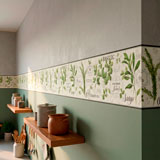 Wall Stickers: Wall Border culinary herbs 9