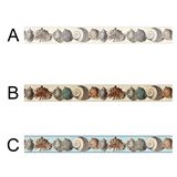Wall Stickers: Sea Shells 4