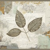 Wall Stickers: Autumn Leaves 3