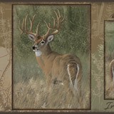 Wall Stickers: Deer 3