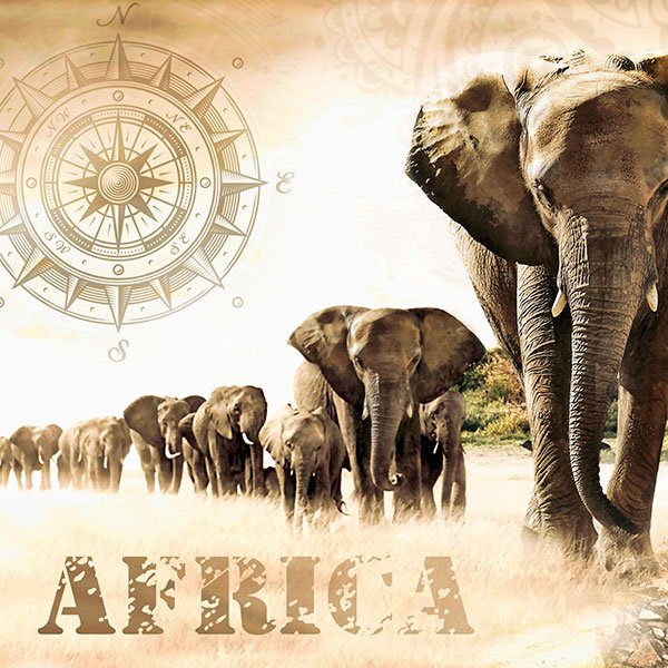 Wall Stickers: African Landscape Collage