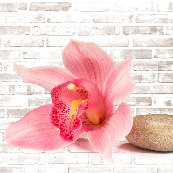 Wall Stickers: Orchid bouquet