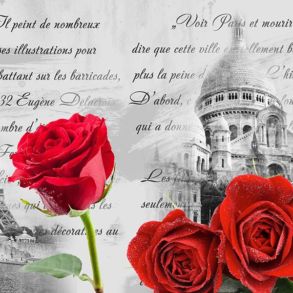 Wall Stickers: Paris the city of love