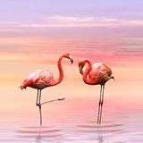 Wall Stickers: Flamingos at sunset 3