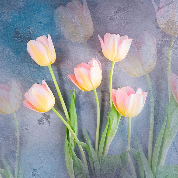 Wall Stickers: Painted tulips