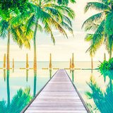 Wall Stickers: Swimming pool with palm trees 3