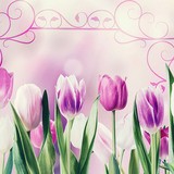 Wall Stickers: Tulips and ornaments 3