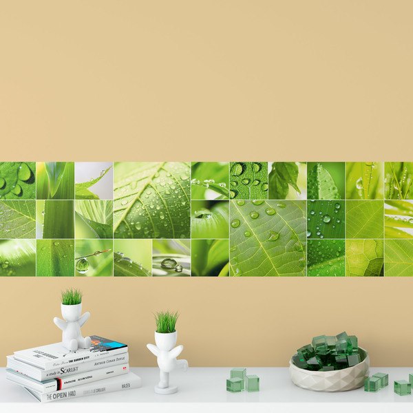 Wall Stickers: Leaves and drops