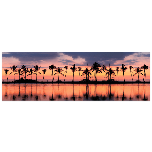 Wall Stickers: Palm trees at sunset