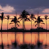 Wall Stickers: Palm trees at sunset 3
