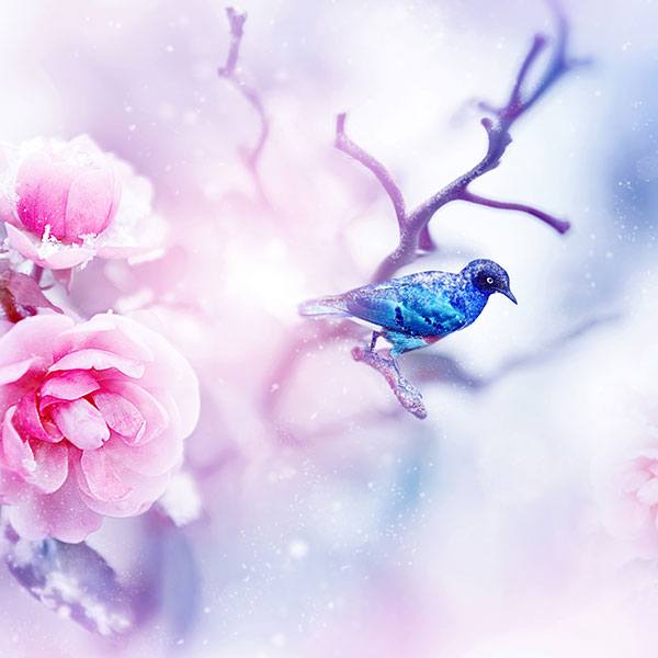 Wall Stickers: Hummingbirds and branches in winter