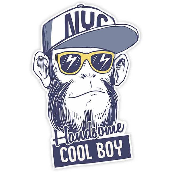 Car & Motorbike Stickers: Handsome Cool Boy