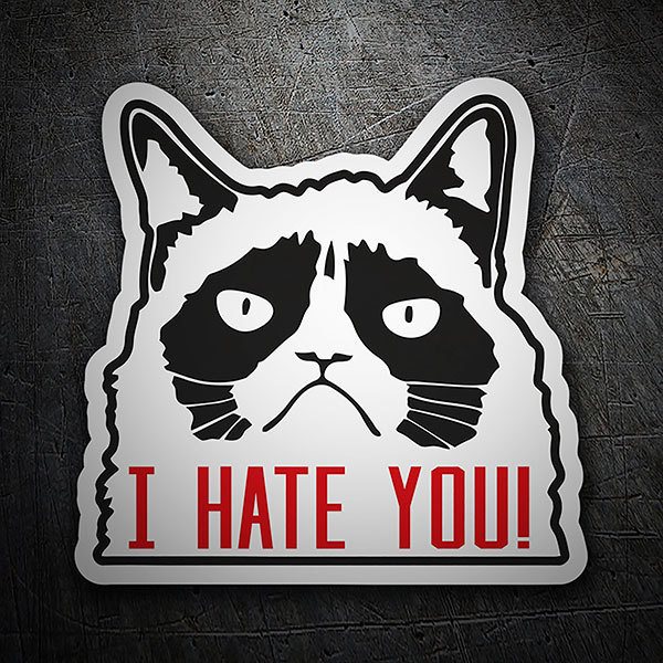 Car & Motorbike Stickers: Cat I hate you