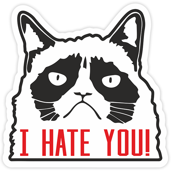 Car & Motorbike Stickers: Cat I hate you