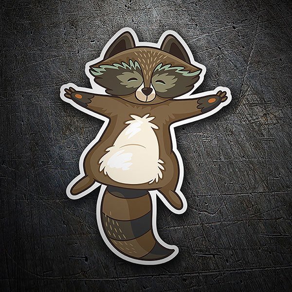 Car & Motorbike Stickers: Raccoon