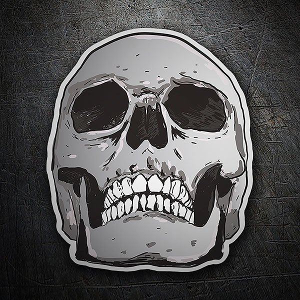 Car & Motorbike Stickers: Skull resposing 1