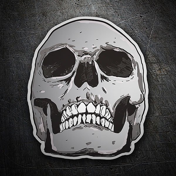 Car & Motorbike Stickers: Skull resposing