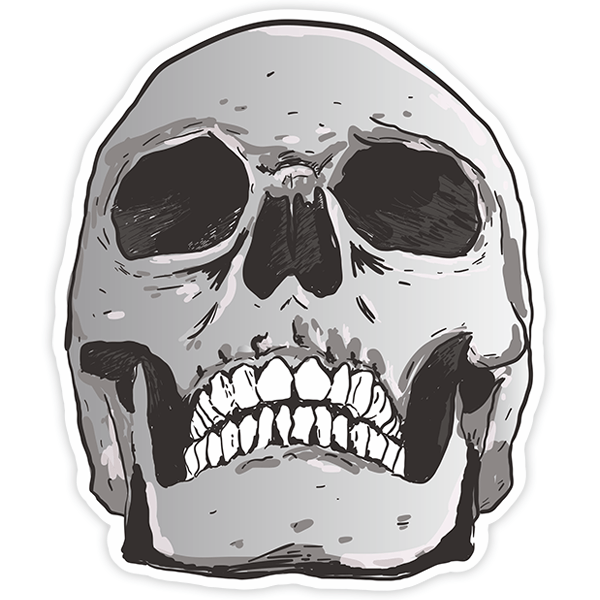 Car & Motorbike Stickers: Skull resposing