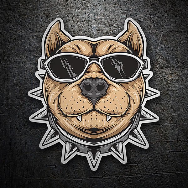 Car & Motorbike Stickers: Pitbull Cool 1