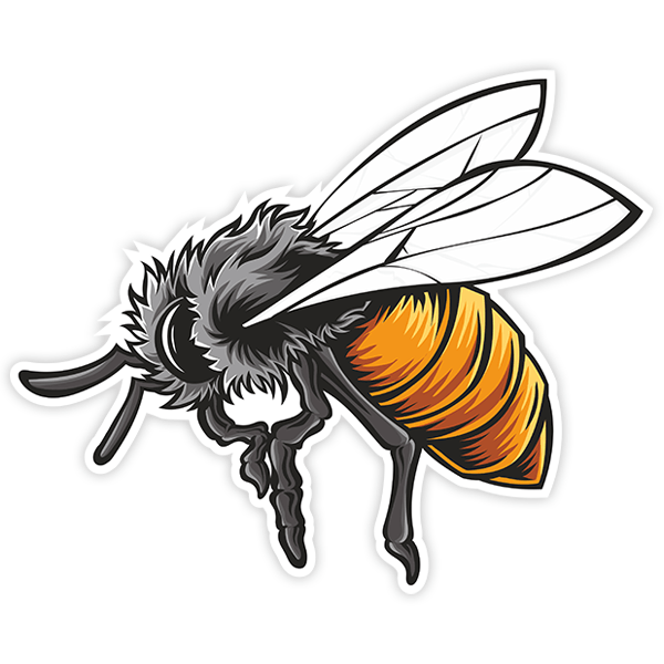 Car & Motorbike Stickers: Bee sticker washing its legs