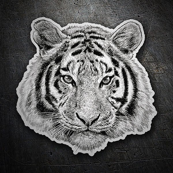 Car & Motorbike Stickers: White tiger head 1