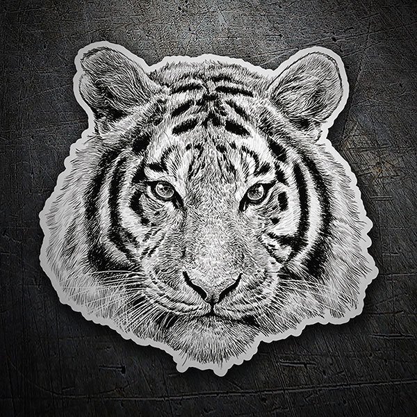 Car & Motorbike Stickers: White tiger head