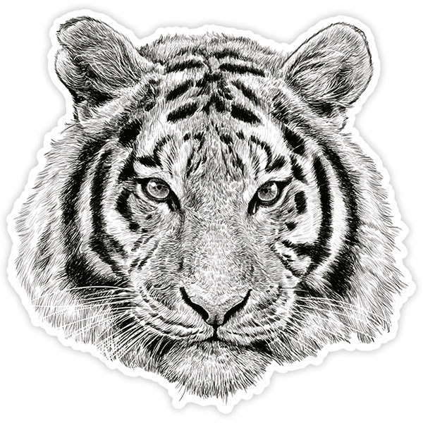 Car & Motorbike Stickers: White tiger head