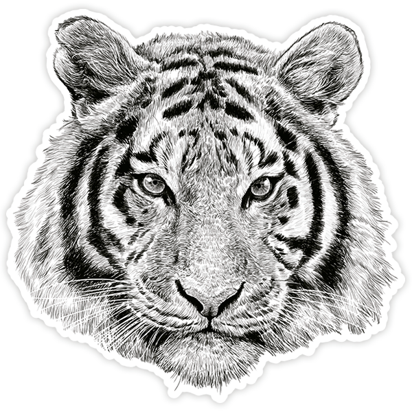 Car & Motorbike Stickers: White tiger head 0
