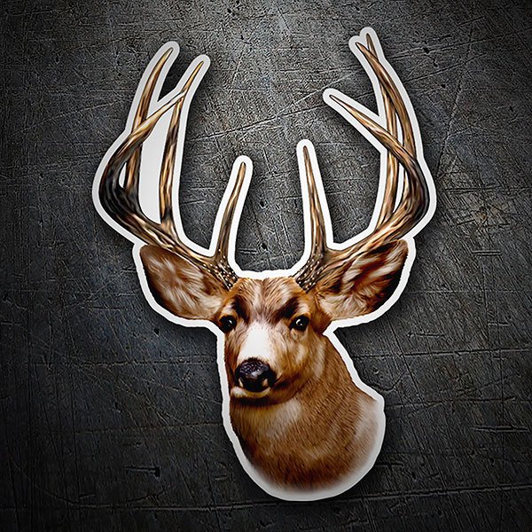 Car & Motorbike Stickers: Adult deer