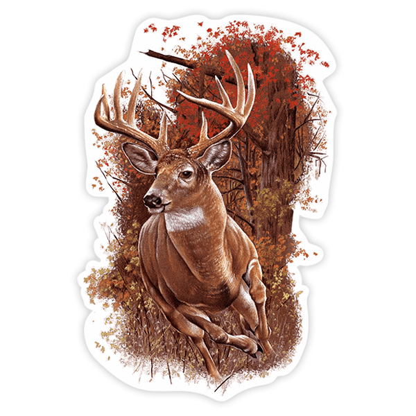 Car & Motorbike Stickers: Deer in the woods 0